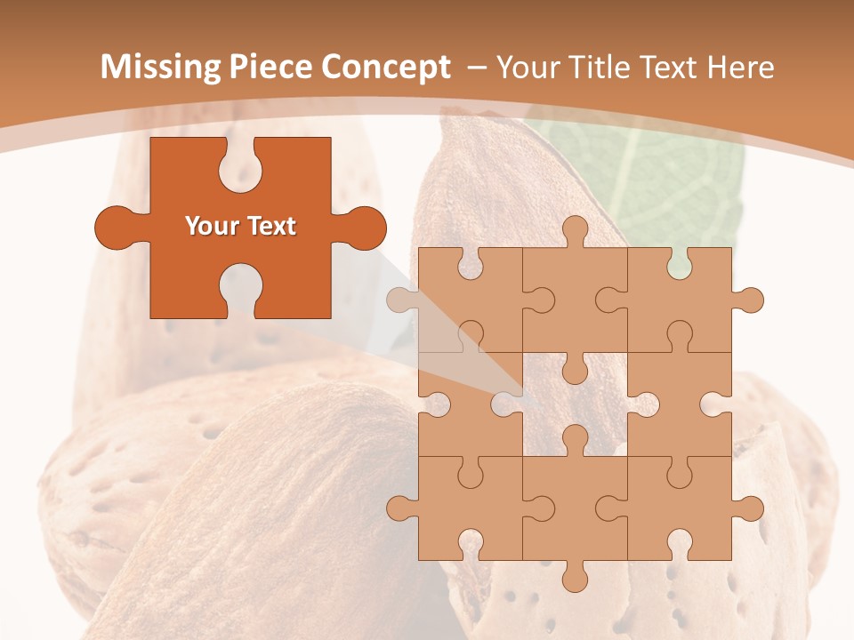 Healthy Kernel Nutshell PowerPoint Template