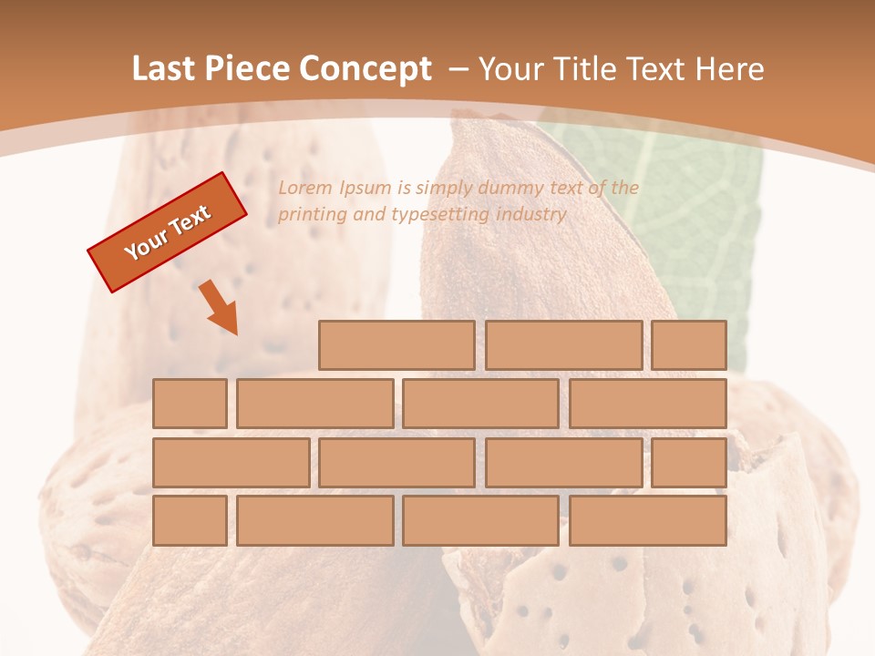 Healthy Kernel Nutshell PowerPoint Template