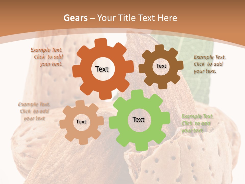 Healthy Kernel Nutshell PowerPoint Template