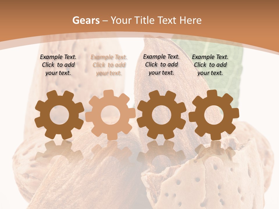 Healthy Kernel Nutshell PowerPoint Template