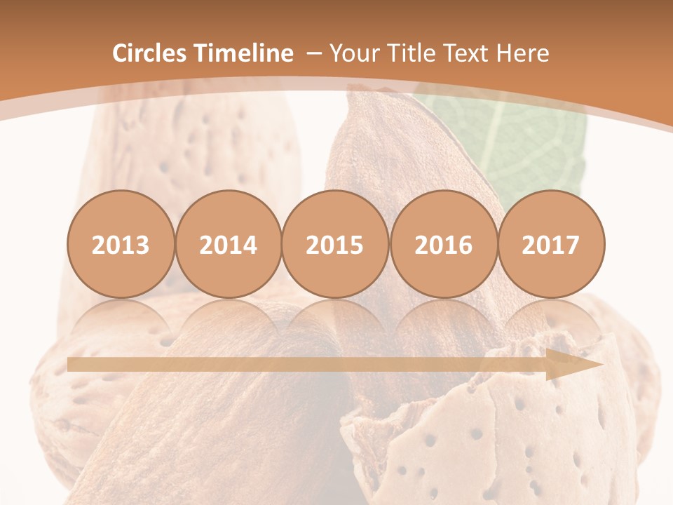 Healthy Kernel Nutshell PowerPoint Template