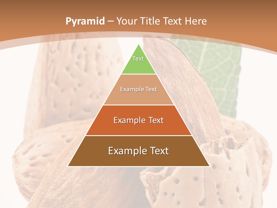 Healthy Kernel Nutshell PowerPoint Template