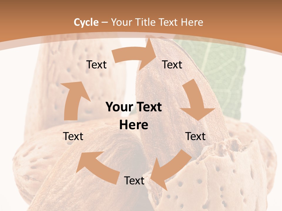 Healthy Kernel Nutshell PowerPoint Template