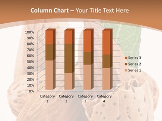 Healthy Kernel Nutshell PowerPoint Template