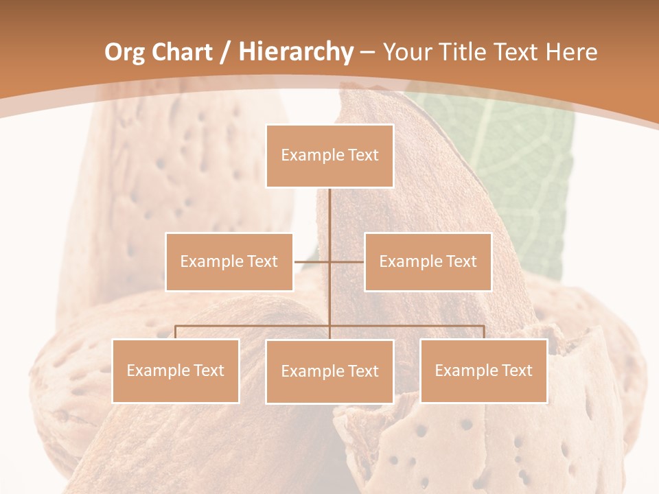 Healthy Kernel Nutshell PowerPoint Template