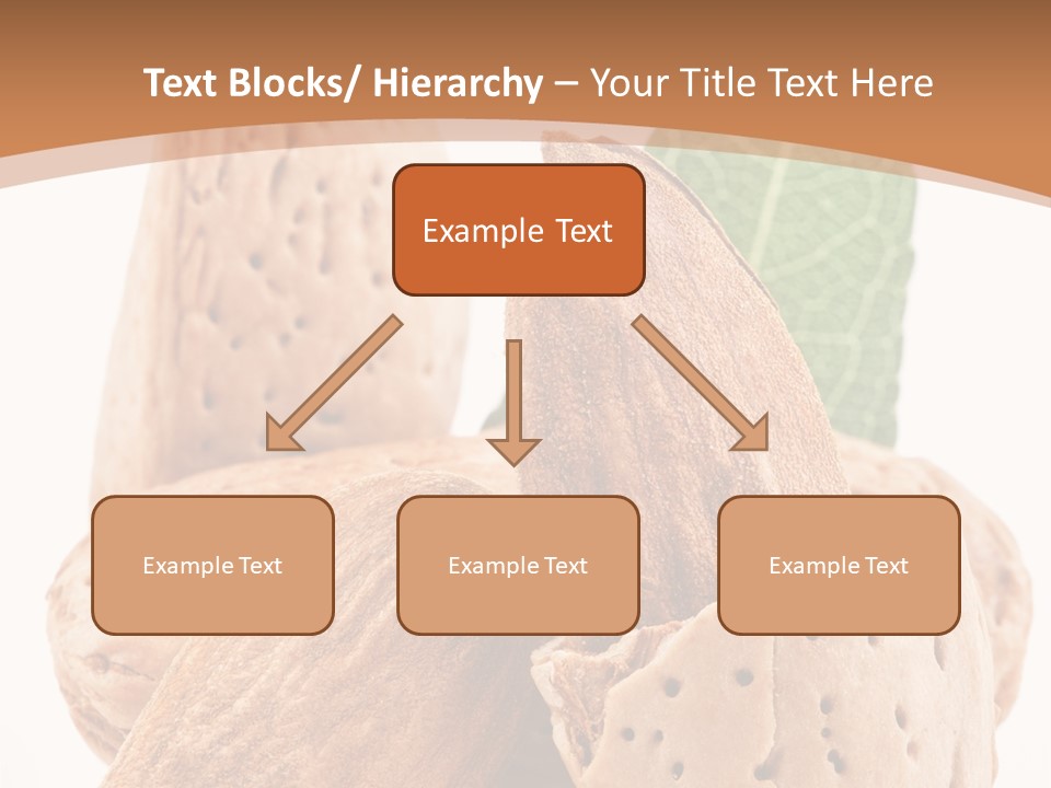 Healthy Kernel Nutshell PowerPoint Template