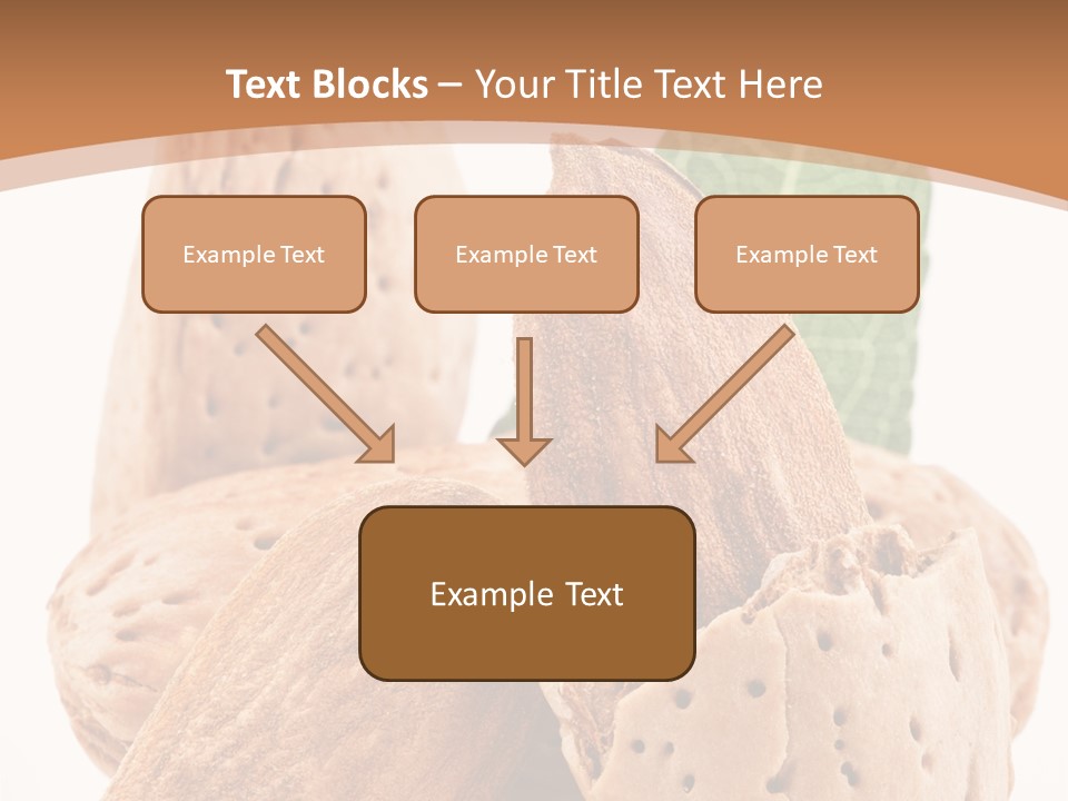 Healthy Kernel Nutshell PowerPoint Template