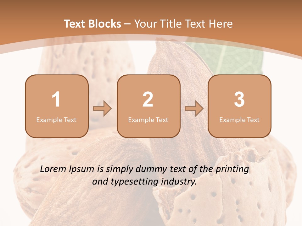 Healthy Kernel Nutshell PowerPoint Template