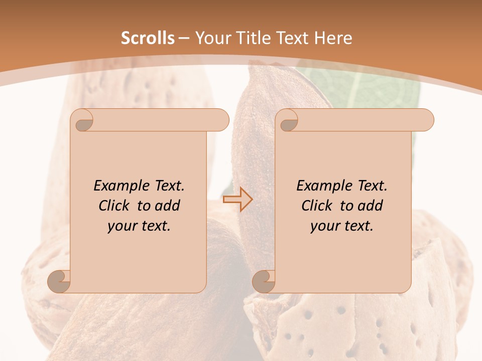 Healthy Kernel Nutshell PowerPoint Template