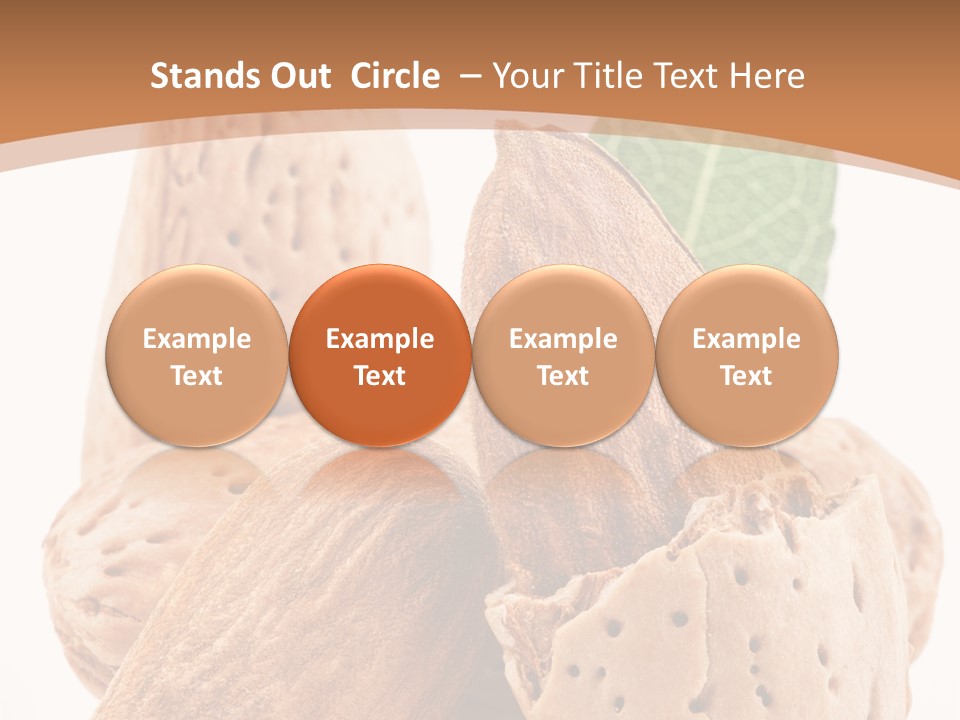 Healthy Kernel Nutshell PowerPoint Template