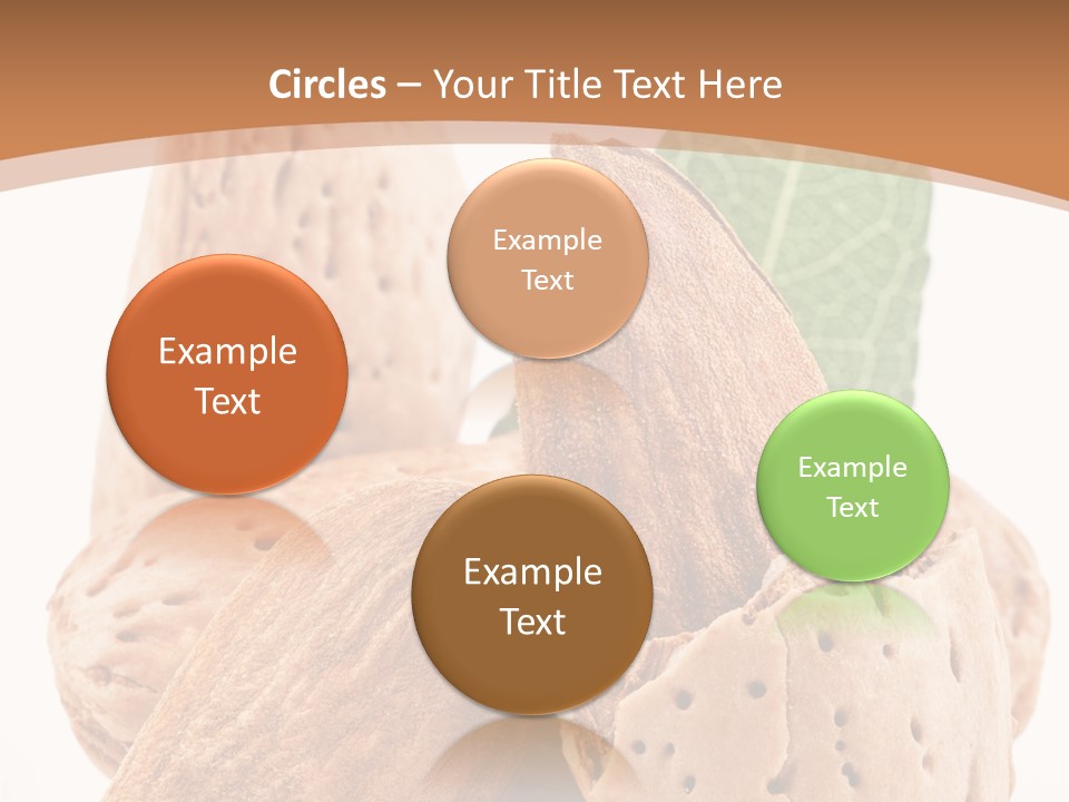 Healthy Kernel Nutshell PowerPoint Template