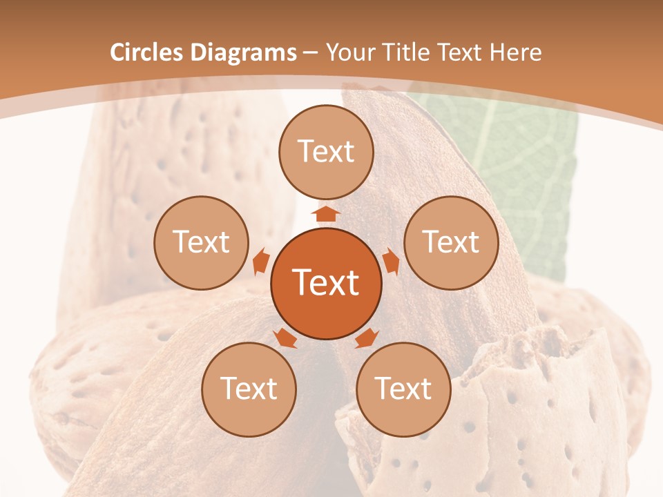 Healthy Kernel Nutshell PowerPoint Template