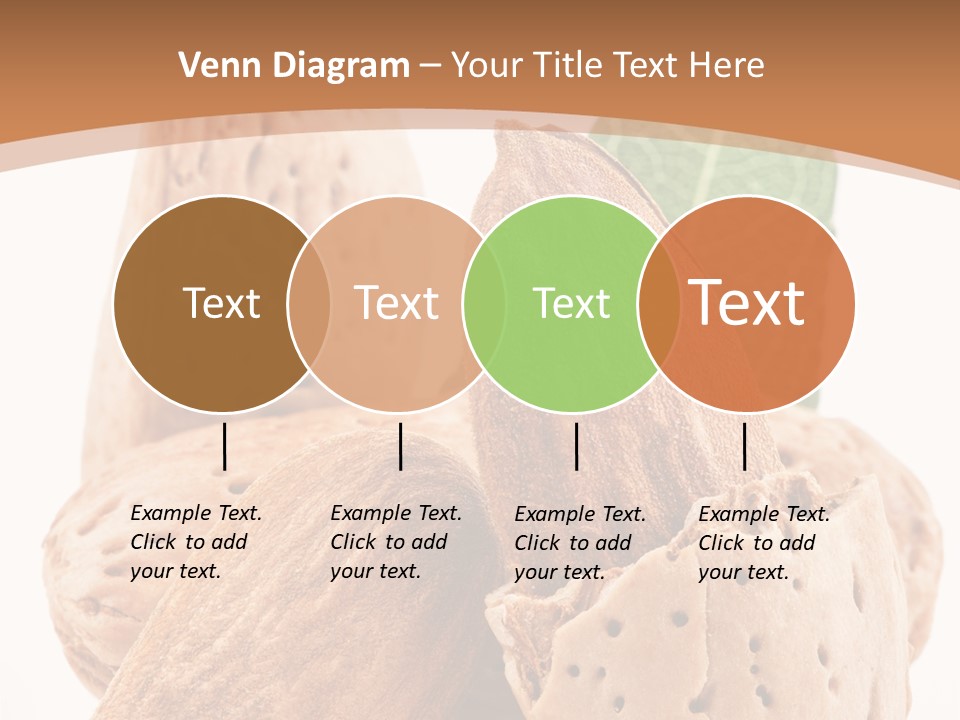 Healthy Kernel Nutshell PowerPoint Template