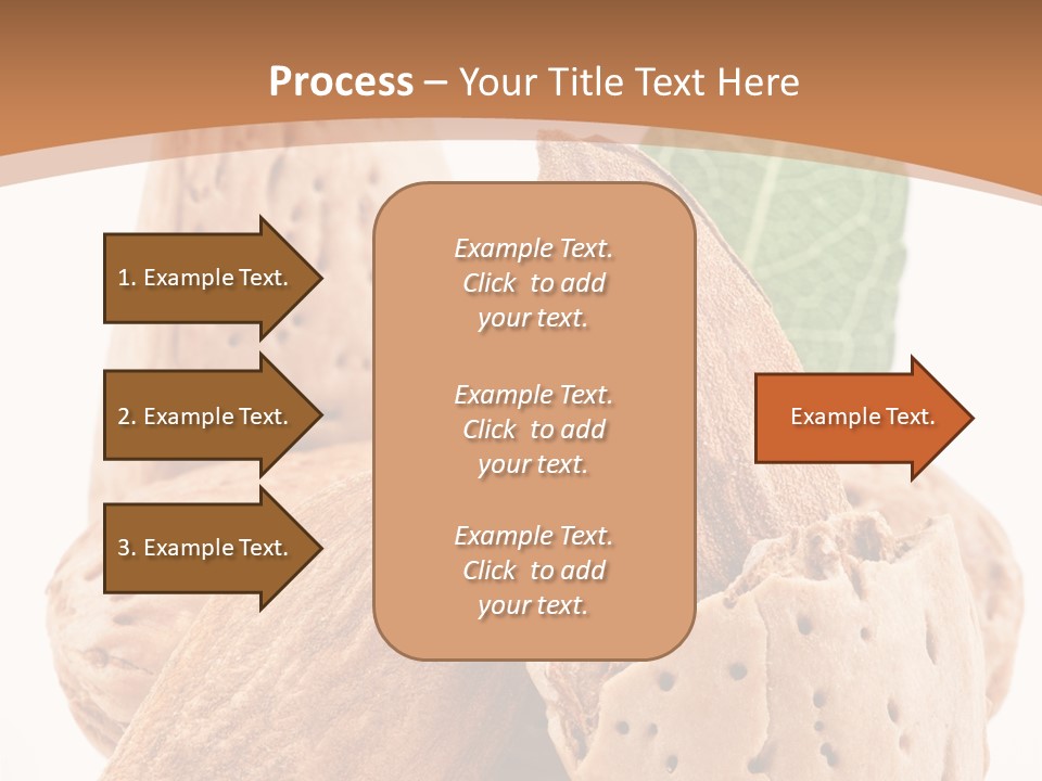 Healthy Kernel Nutshell PowerPoint Template