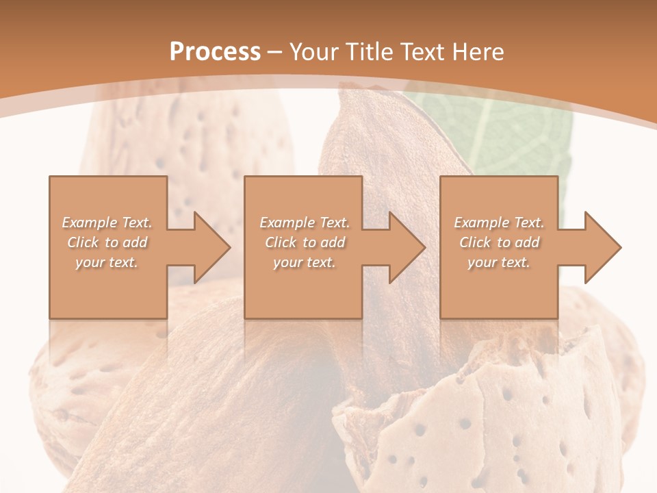 Healthy Kernel Nutshell PowerPoint Template