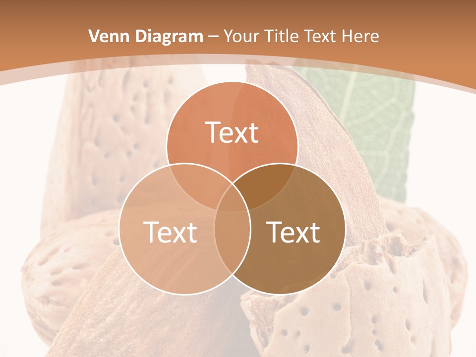 Healthy Kernel Nutshell PowerPoint Template