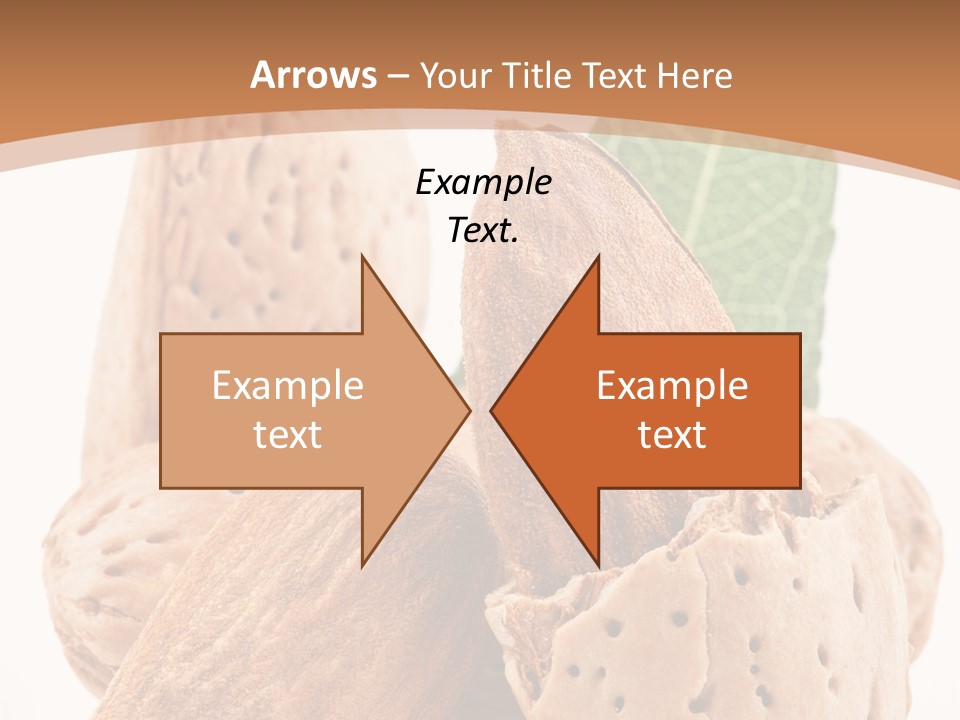 Healthy Kernel Nutshell PowerPoint Template