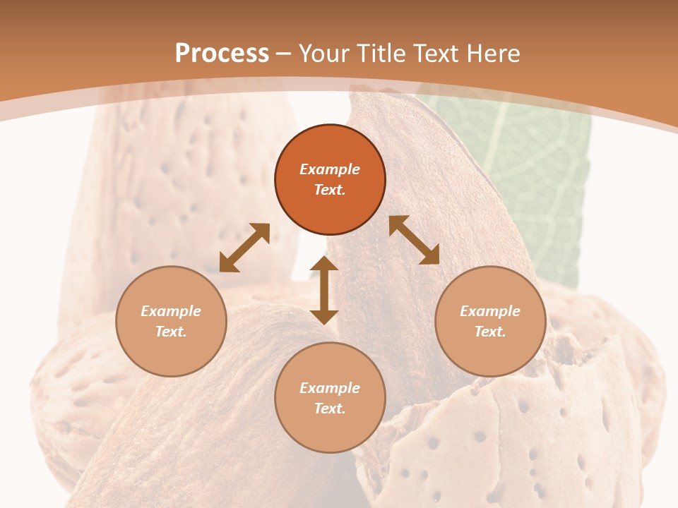 Healthy Kernel Nutshell PowerPoint Template