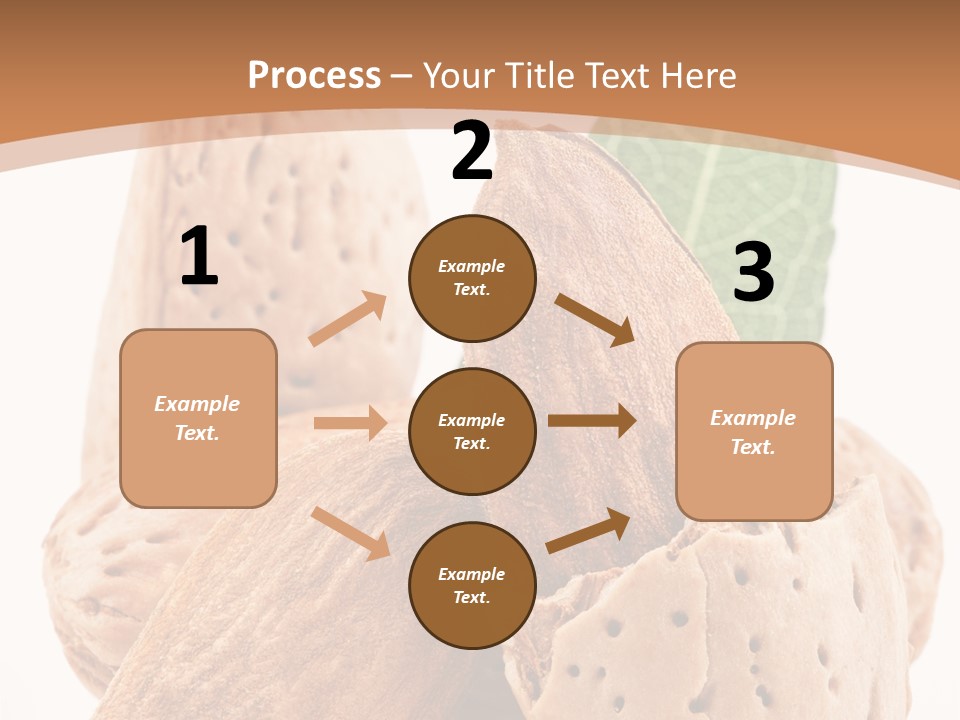 Healthy Kernel Nutshell PowerPoint Template