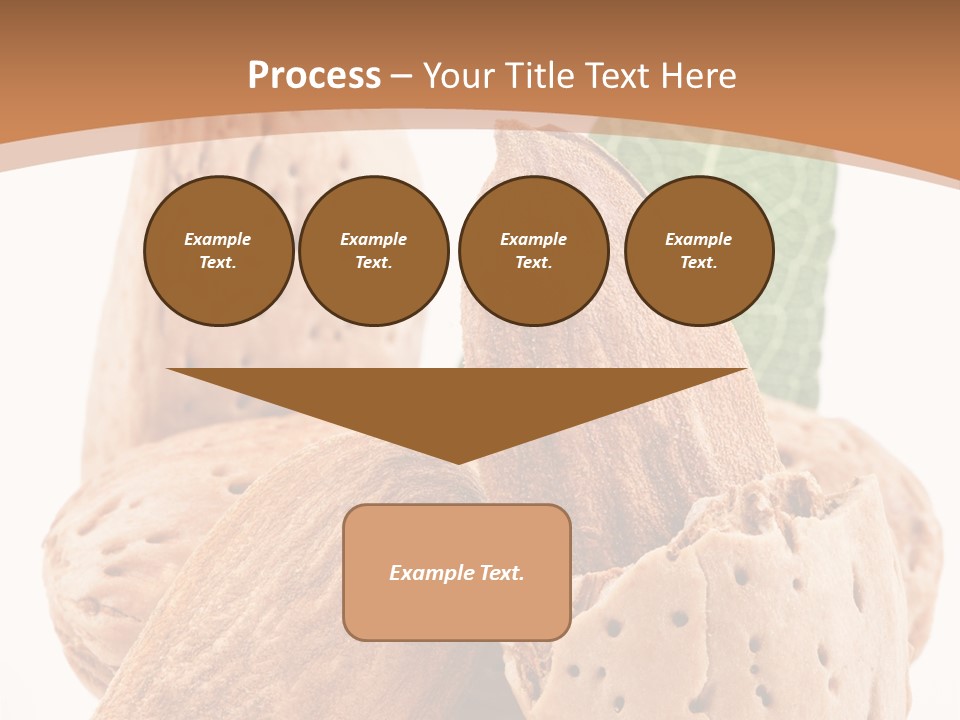 Healthy Kernel Nutshell PowerPoint Template