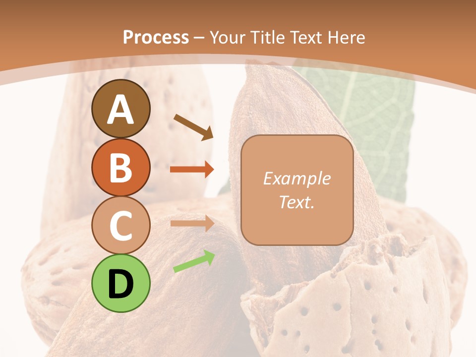 Healthy Kernel Nutshell PowerPoint Template
