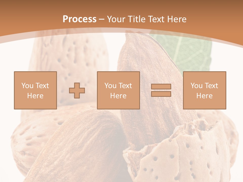 Healthy Kernel Nutshell PowerPoint Template