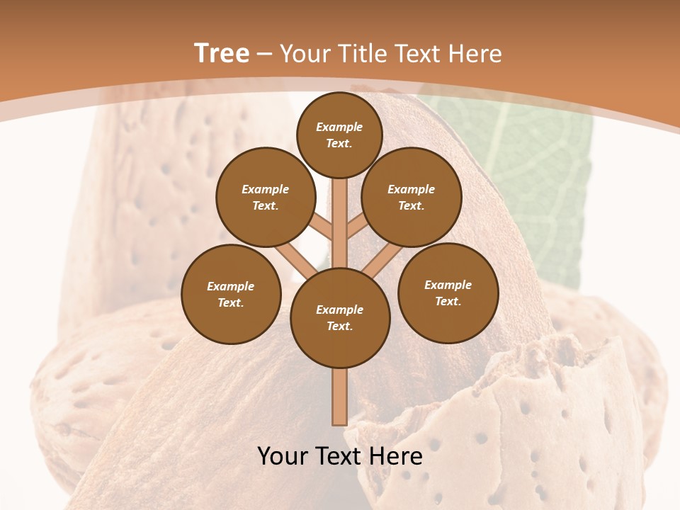 Healthy Kernel Nutshell PowerPoint Template