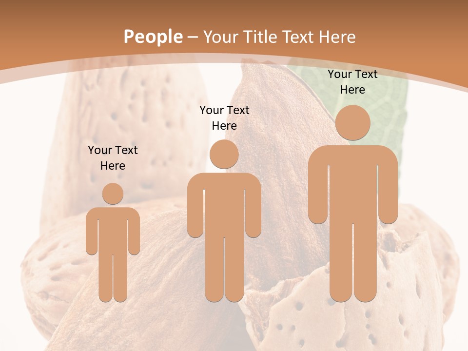 Healthy Kernel Nutshell PowerPoint Template