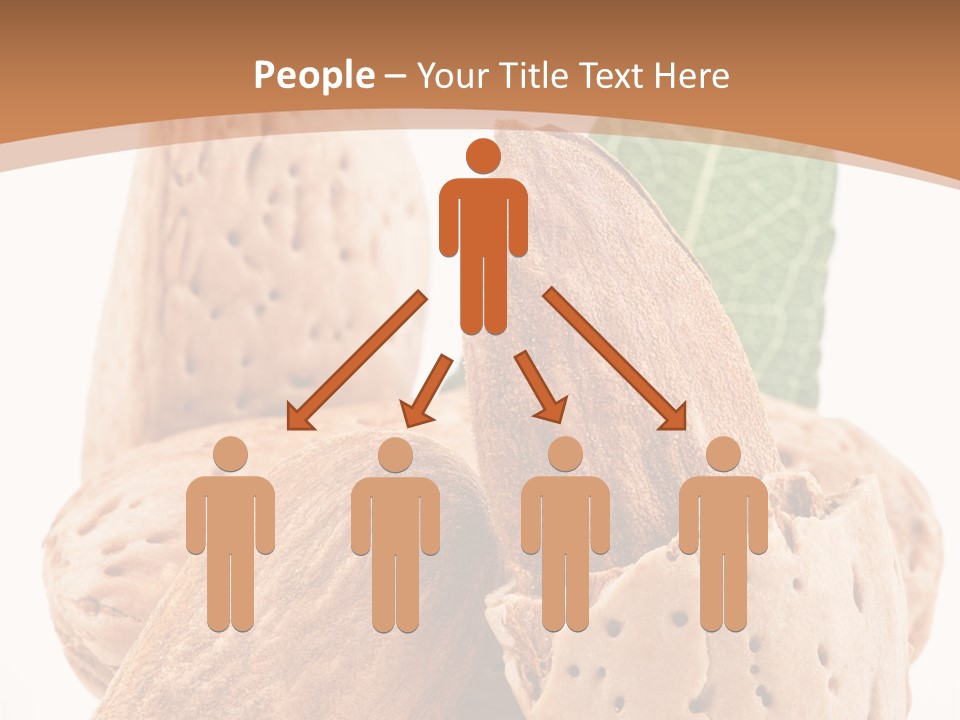 Healthy Kernel Nutshell PowerPoint Template