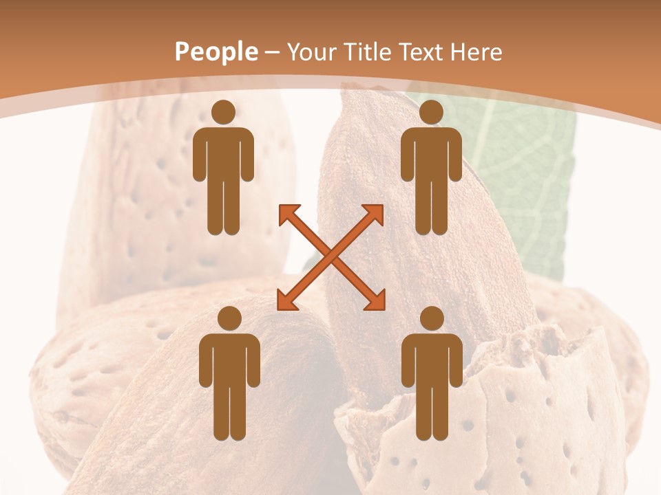 Healthy Kernel Nutshell PowerPoint Template