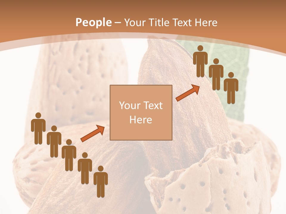 Healthy Kernel Nutshell PowerPoint Template