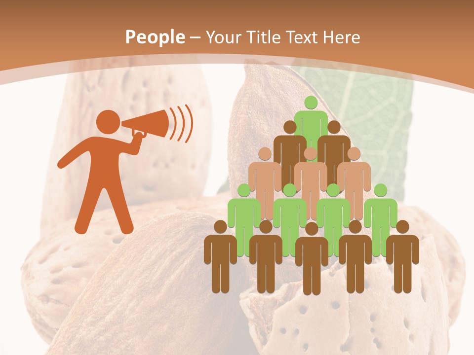 Healthy Kernel Nutshell PowerPoint Template