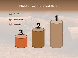Dry Dust Studio PowerPoint Template