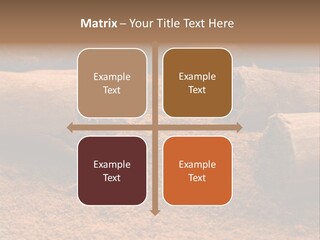 Dry Dust Studio PowerPoint Template