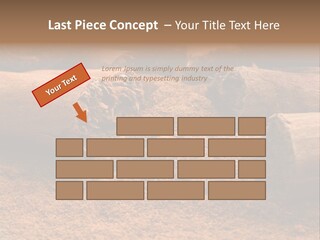 Dry Dust Studio PowerPoint Template