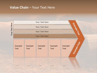 Dry Dust Studio PowerPoint Template