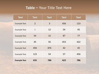 Dry Dust Studio PowerPoint Template