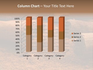 Dry Dust Studio PowerPoint Template