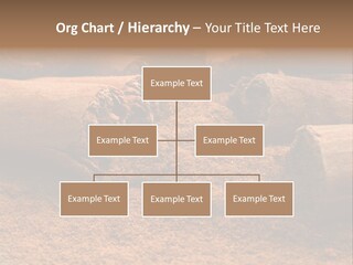 Dry Dust Studio PowerPoint Template