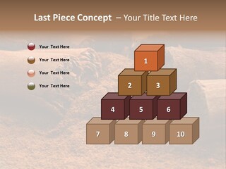 Dry Dust Studio PowerPoint Template