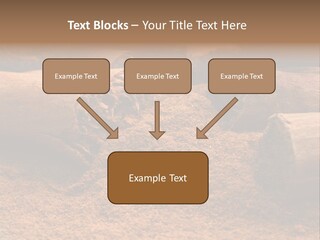 Dry Dust Studio PowerPoint Template
