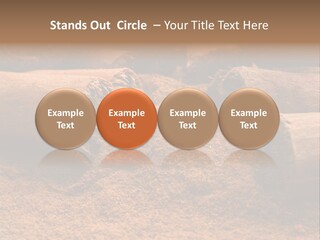 Dry Dust Studio PowerPoint Template