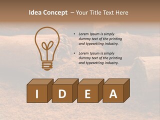 Dry Dust Studio PowerPoint Template