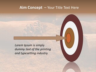 Dry Dust Studio PowerPoint Template