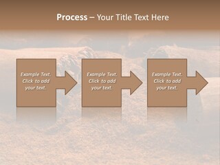 Dry Dust Studio PowerPoint Template