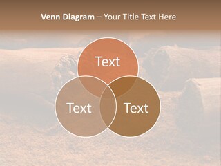 Dry Dust Studio PowerPoint Template