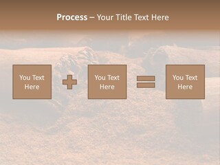 Dry Dust Studio PowerPoint Template