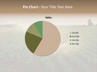 Industrial Field Green PowerPoint Template