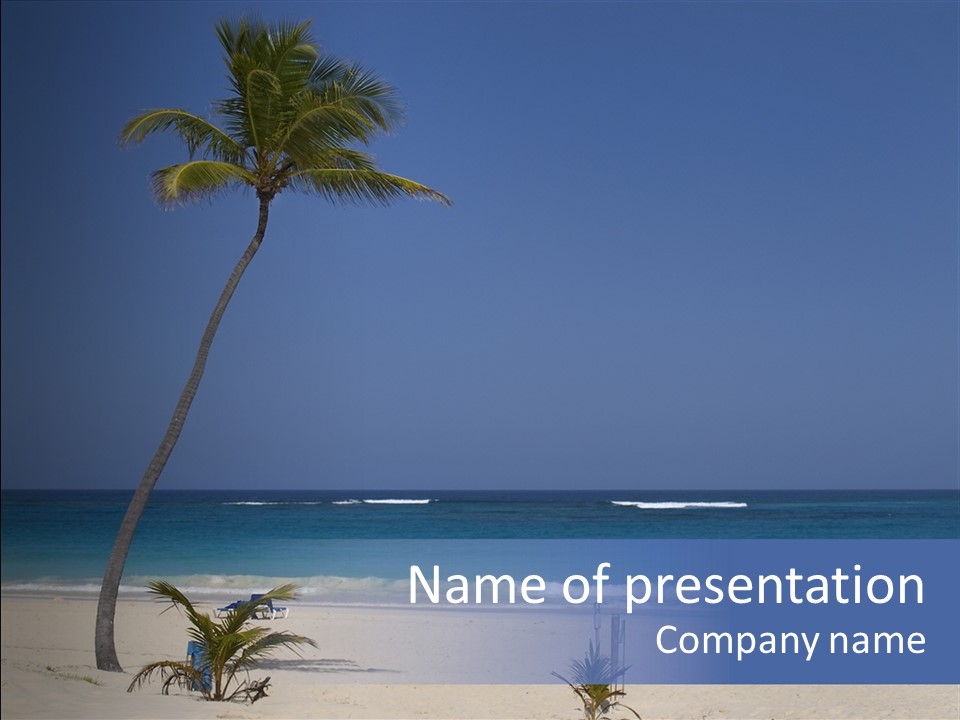 A Palm Tree On A Beach With The Ocean In The Background PowerPoint Template