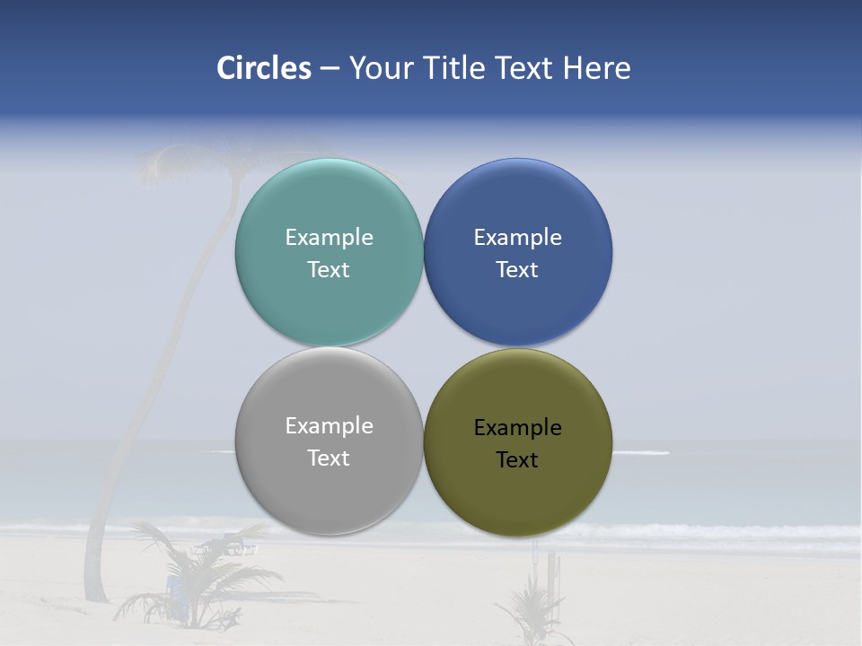 A Palm Tree On A Beach With The Ocean In The Background PowerPoint Template